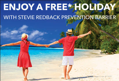 Holiday Image